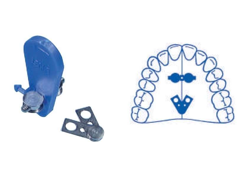 VITE A VENTAGLIO in 2 PEZZI A0815-14 LEONE