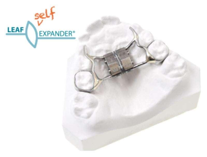 Leaf Self Expander 6molle Leone