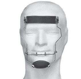 MASCHERA FACCIALE REG. VERTICALE LEONE