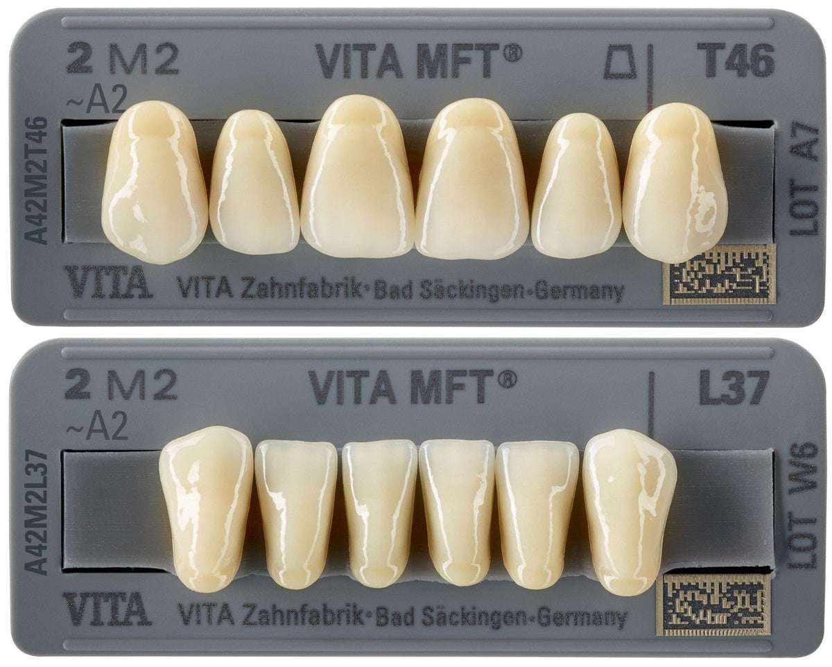Denti Vita MFT anteriori x 6